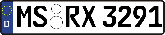 MS-RX3291