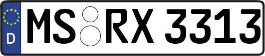 MS-RX3313