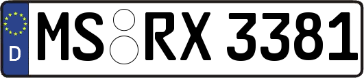 MS-RX3381