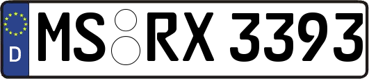 MS-RX3393