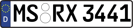 MS-RX3441