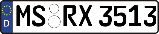 MS-RX3513