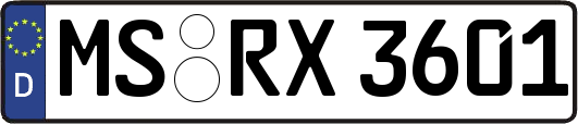 MS-RX3601