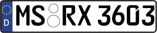MS-RX3603