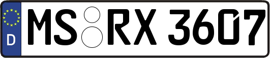 MS-RX3607