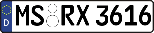 MS-RX3616