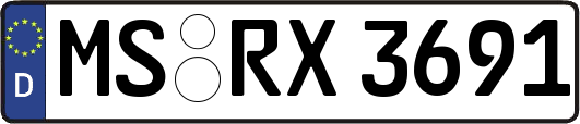 MS-RX3691