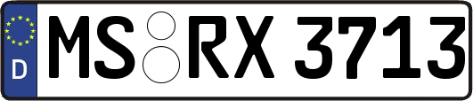 MS-RX3713