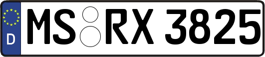 MS-RX3825