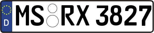MS-RX3827
