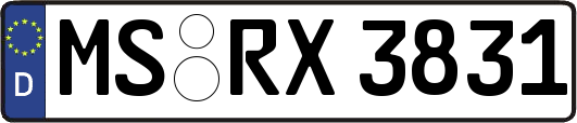 MS-RX3831