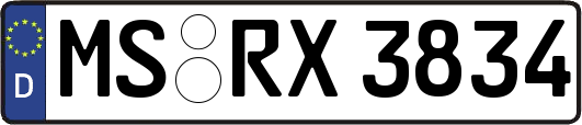 MS-RX3834