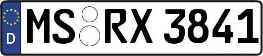 MS-RX3841