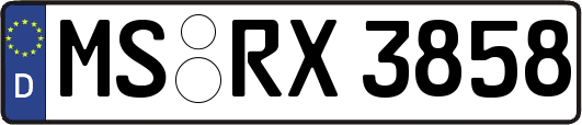 MS-RX3858