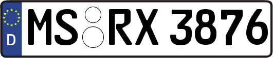 MS-RX3876