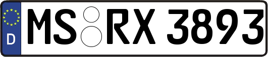 MS-RX3893
