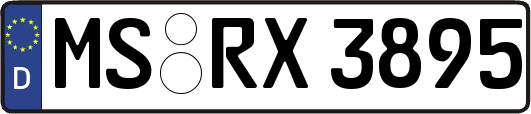 MS-RX3895