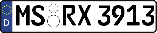 MS-RX3913