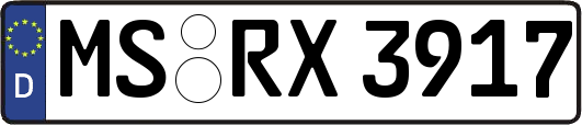 MS-RX3917