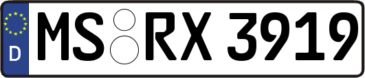 MS-RX3919