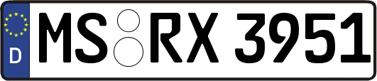 MS-RX3951