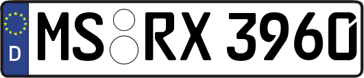 MS-RX3960