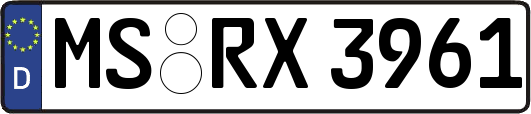 MS-RX3961