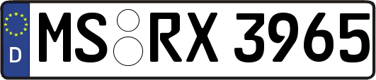 MS-RX3965