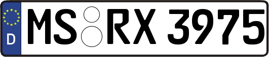 MS-RX3975