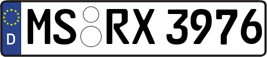 MS-RX3976