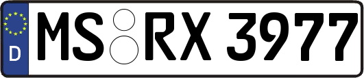 MS-RX3977