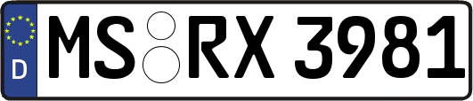 MS-RX3981