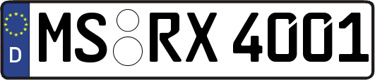 MS-RX4001