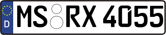 MS-RX4055