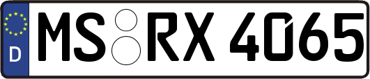 MS-RX4065