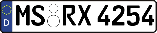 MS-RX4254