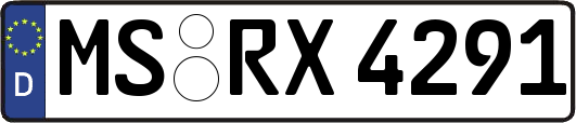 MS-RX4291