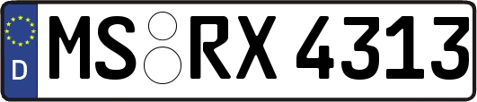 MS-RX4313