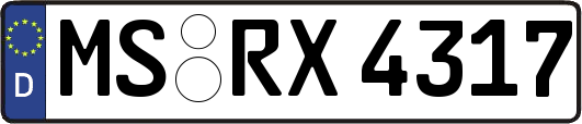 MS-RX4317
