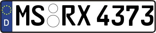 MS-RX4373