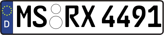 MS-RX4491