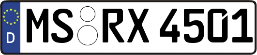 MS-RX4501