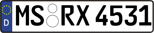 MS-RX4531