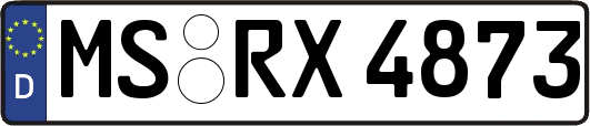 MS-RX4873