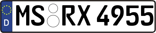 MS-RX4955