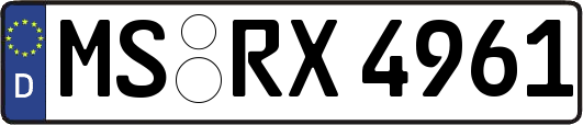MS-RX4961