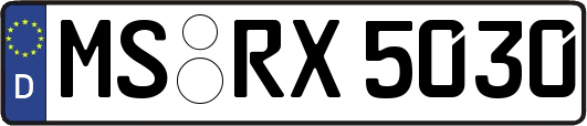 MS-RX5030