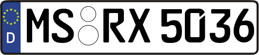 MS-RX5036