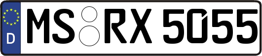 MS-RX5055