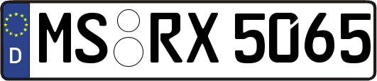 MS-RX5065